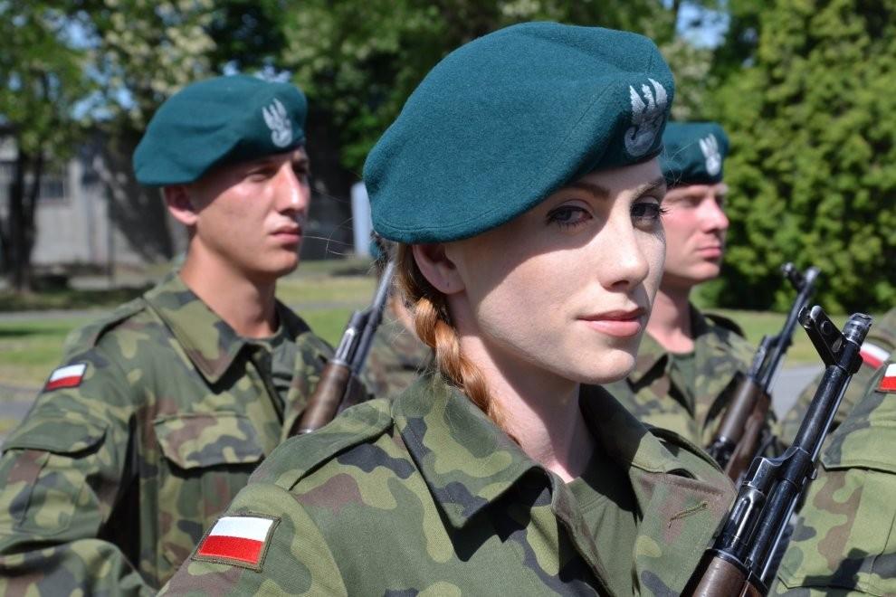 Wołowskie manewry :)