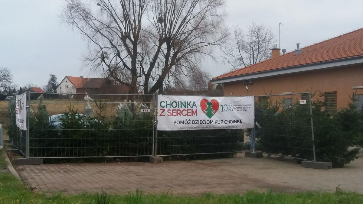 Choinka Last Minute :)