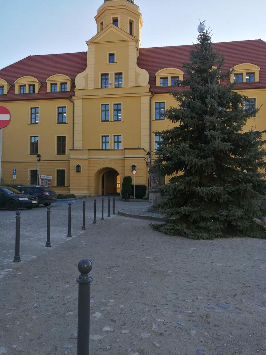 Śpieszmy się kochać słupki tak szybko się zmieniają... Choinka Bezpieczna :)