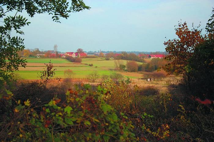 Wymarzony domek wśród 
