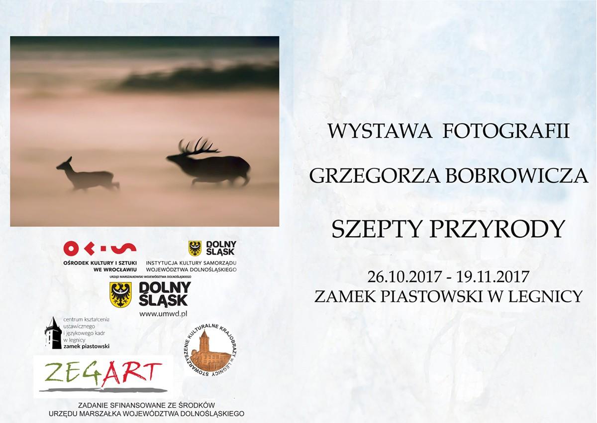 Przyroda okiem Grzegorza Bobrowicza