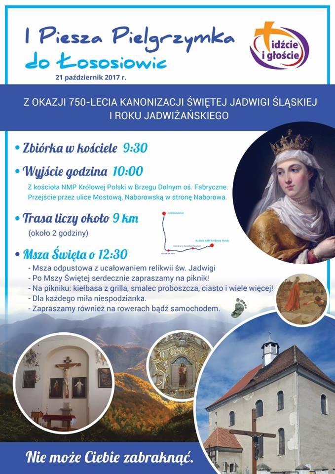Pieszo z Brzegu Dolnego do Łososiowic