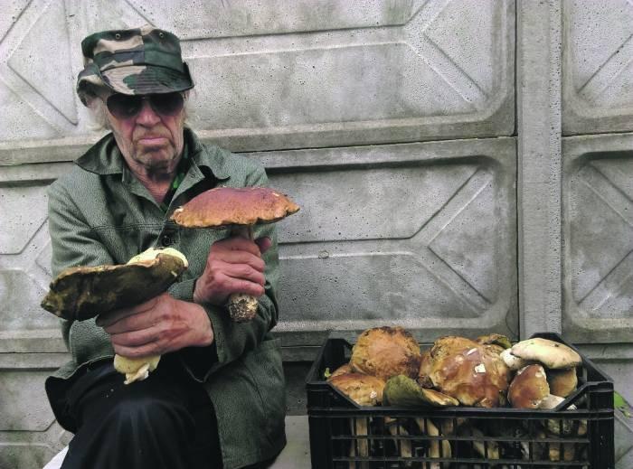 Udane grzybobranie naszego Czytelnika