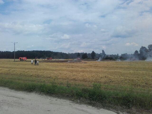 Płonie zboże w okolicy Pogalewa Małego