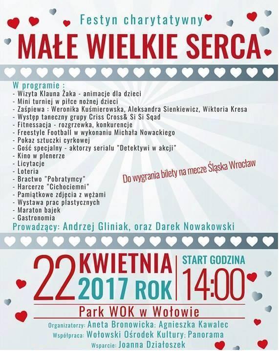 Małe Wielkie Serca. Piknik charytatywny