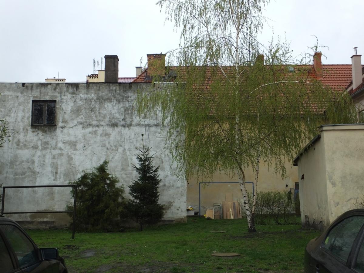 Miał iść do więzienia, powiesił się na drzewie