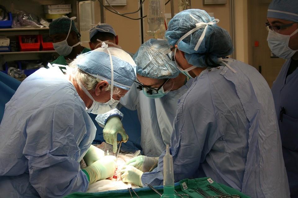 Szkoła będzie propagować wiedzę o transplantacji