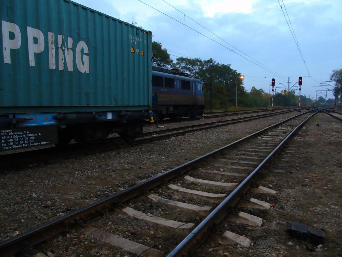 Kobieta rzuciła się pod pociąg. Cudem przeżyła