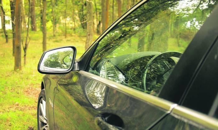 Wjeżdżasz do lasu? Możesz dostać mandat