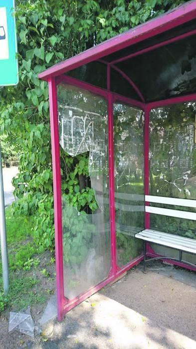 Nagrali, jak wandale dewastują przystanek