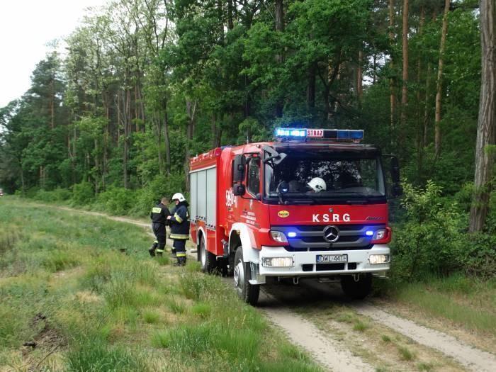 30 pożarów. Wyznaczono nagrodę za podpalacza