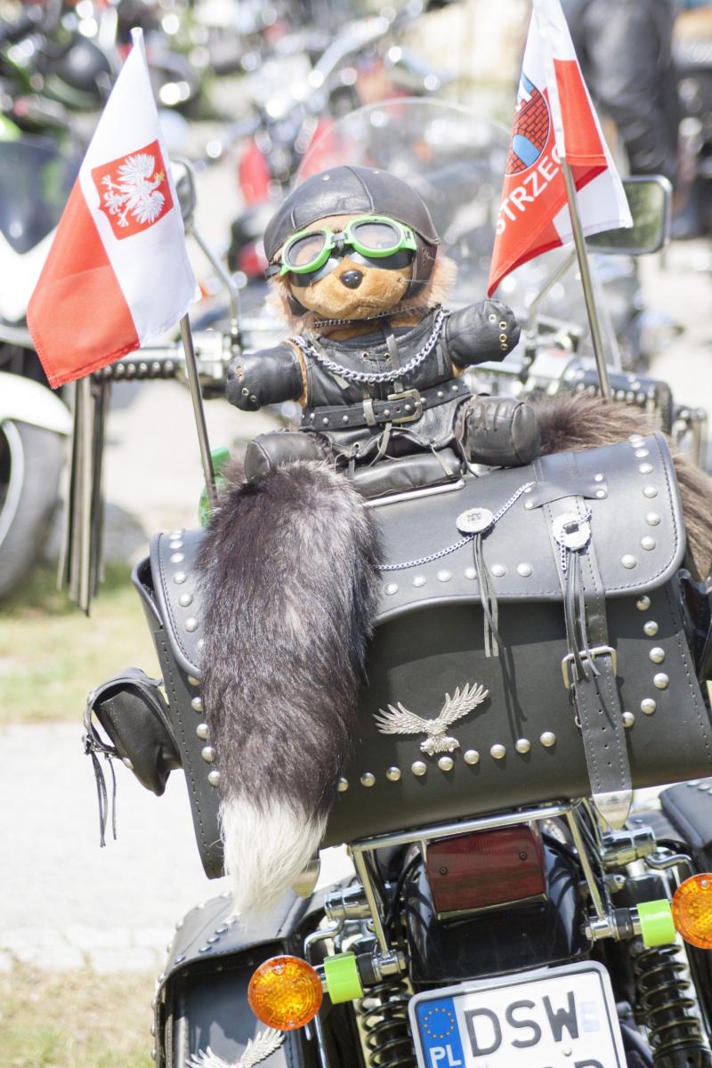 Piknik motocyklowy (foto)