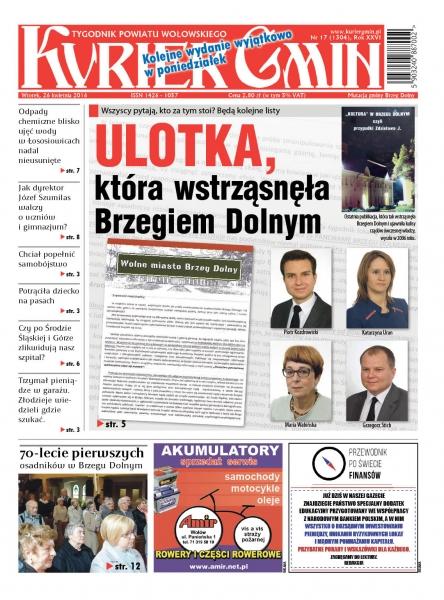 Przegląd wydania nr. 17