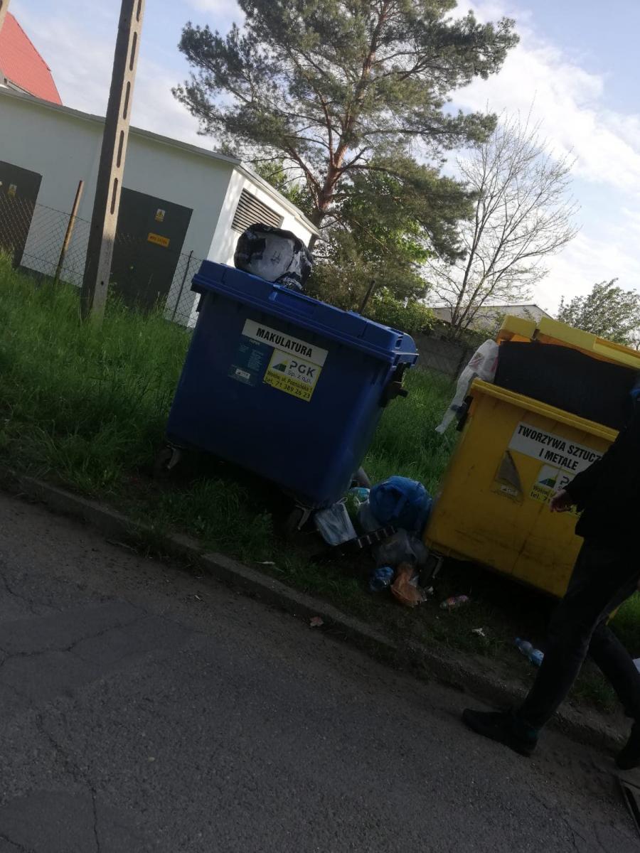 Dziki znów demolują miasto. Tak wygląda ulica Parkowa