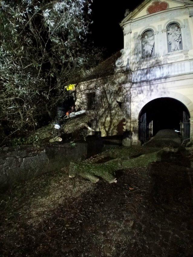 Strażacy usuwali powalone drzewo przy klasztorze