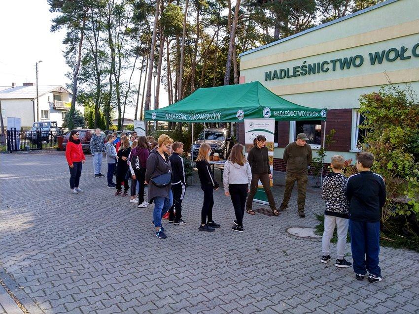 Wołowskie nadleśnictwo rozdawało sadzonki drzewek