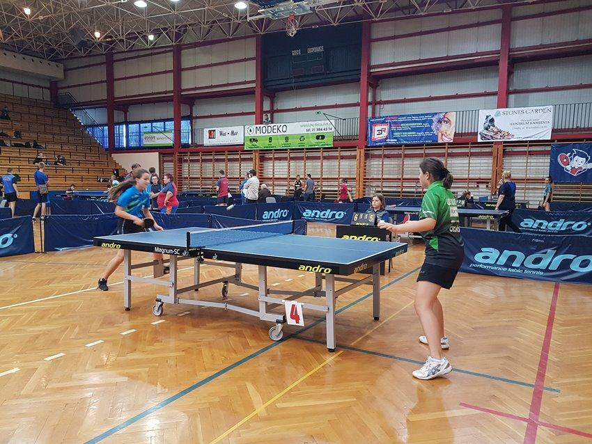 Tenis stołowy w dolnobrzeskim ośrodku
