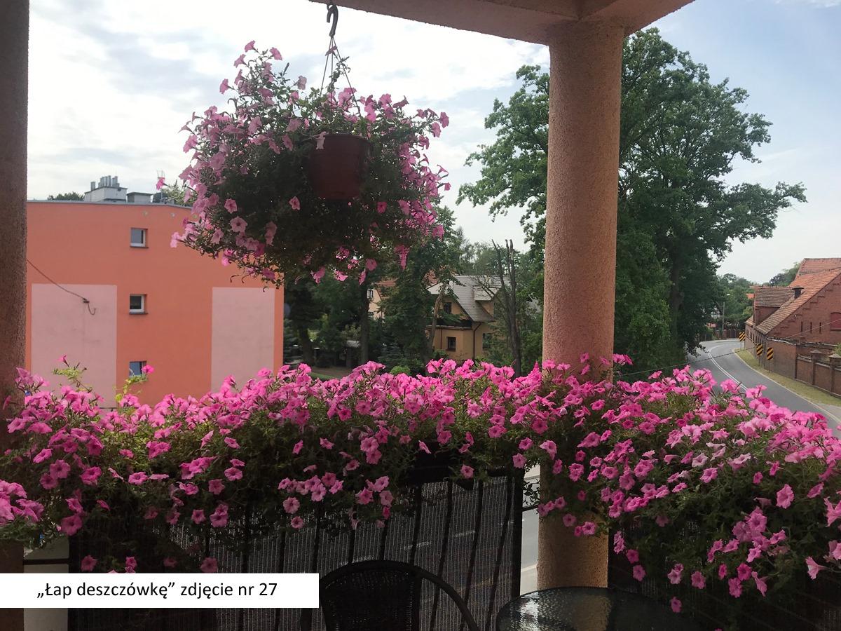 Mieszkańcy łapią deszczówkę i walczą o nagrody. Poznaliśmy pierwszych laureatów