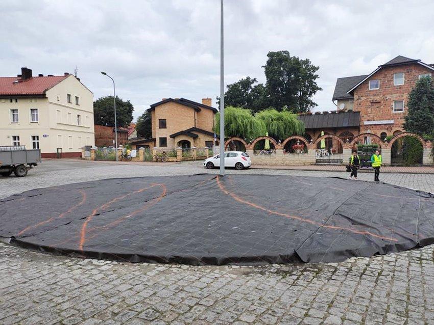 Lawenda i ozdobne trawy na rondzie przy pl. Sobieskiego
