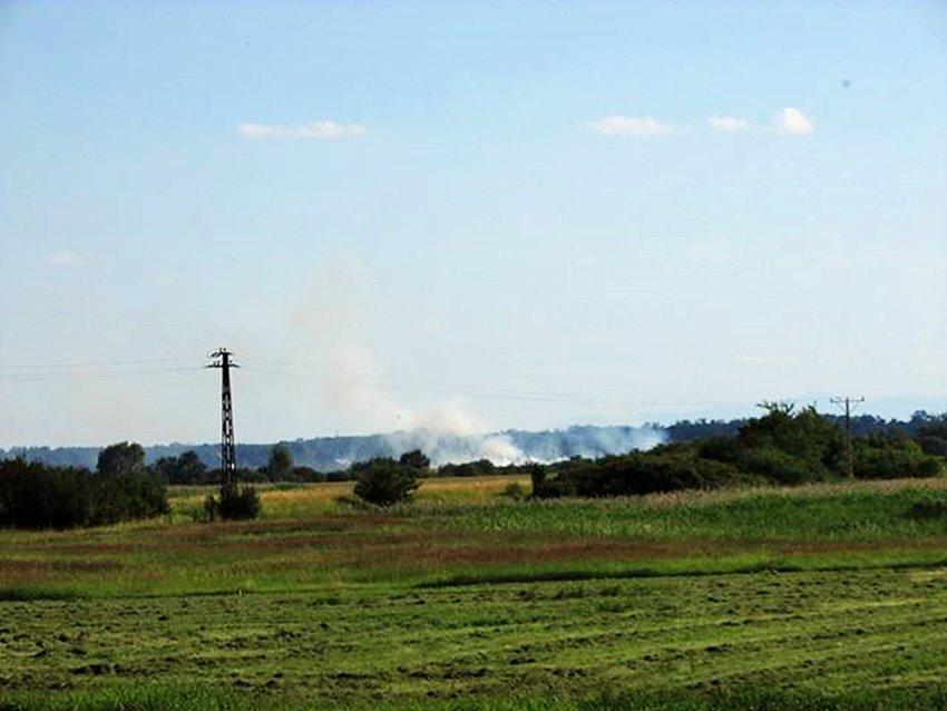 Pożar ścierniska. Interweniowali strażacy
