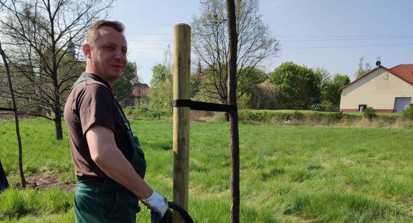 Bardziej zielono w kolejnych częściach Wołowa