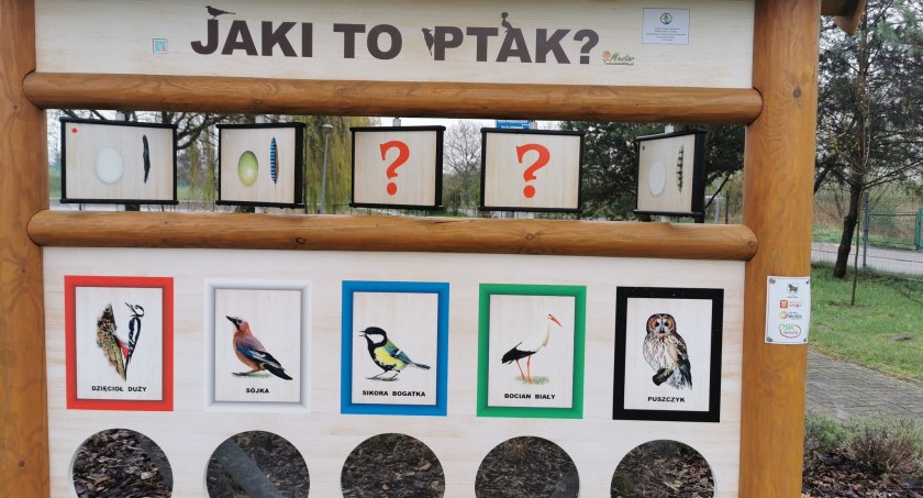 Edukacyjna ścieżka dla dzieci i rodziców w gminie Wołów