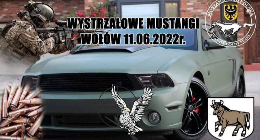 Wystrzałowe Mustangi w Wołowie