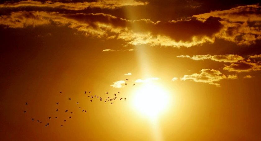 Ostrzeżenie meteorologiczne dla powiatu wołowskiego na 20 czerwca