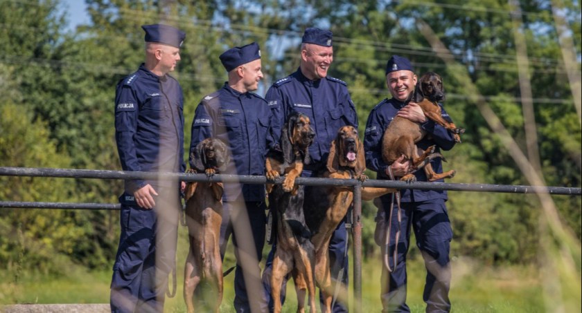 Psy służą w polskiej policji