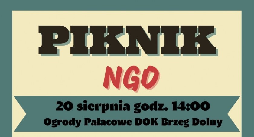 Piknik organizacji pozarządowych dzisiaj w Brzegu Dolnym