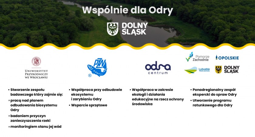 Szeroka współpraca kluczowa dla ratowania Odry 