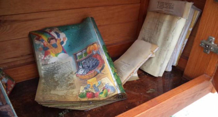 Miała być kulturalna wymiana, a jest niszczenie książek
