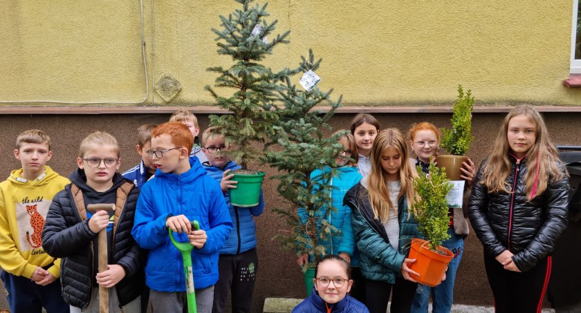 Uczniowie z Wołowa wzięli udział w akcji i sadzili las