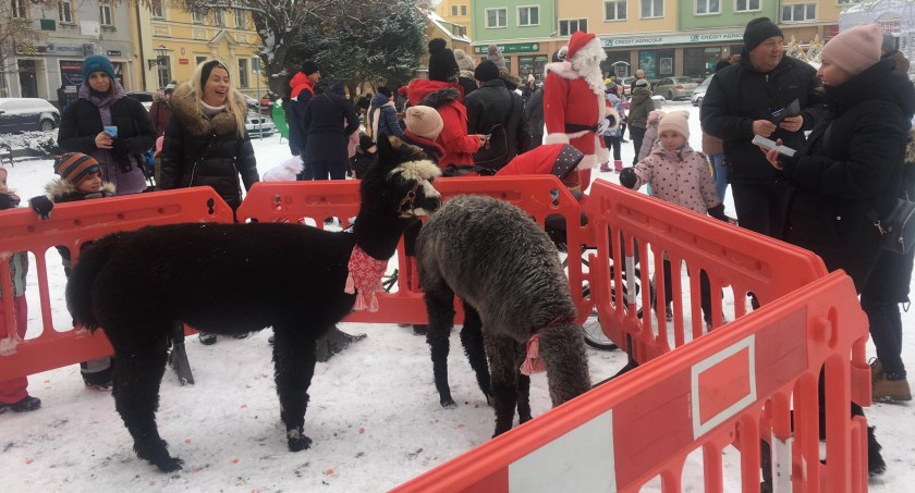 Świąteczne atrakcje na wołowskim Rynku [ZDJĘCIA]