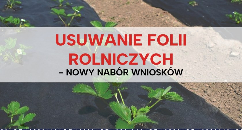 Są pieniądze na usuwanie folii rolniczych