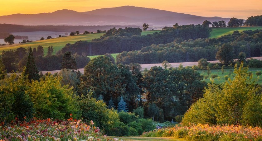 Czas przywitać wiosnę – otwarcie Arboretum Wojsławice już jutro