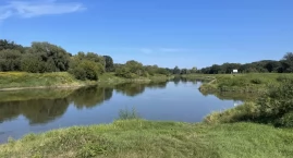Odra jak martwy ściek? Ruszyła fala z martwymi rybami