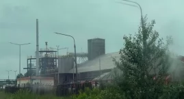 Letni smród w Brzegu Dolnym: Coroczna tradycja, do k&hellip;