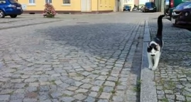 Serce miasta, które zwalnia rytm. Jaka przyszłość cz&hellip;