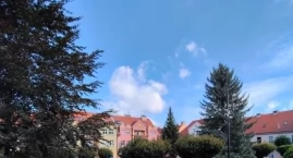 Działki, dom i udział w nieruchomości. W powiecie wo&hellip;