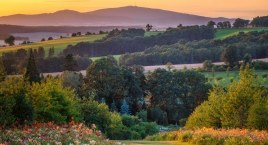 Czas przywitać wiosnę – otwarcie Arboretum Wojsławic&hellip;
