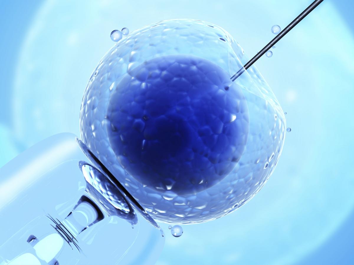 Nowe przepisy ograniczą in vitro?