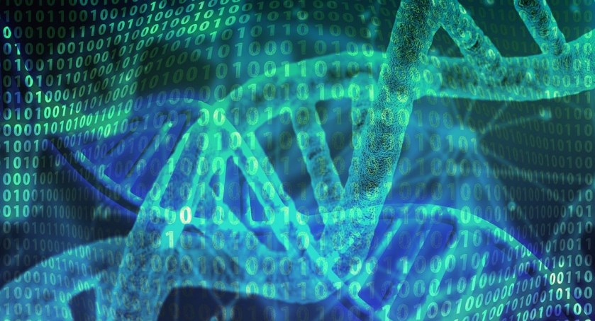 Dlaczego dystrofia mięśniowa Duchennea jest tak bezwzględną chorobą?