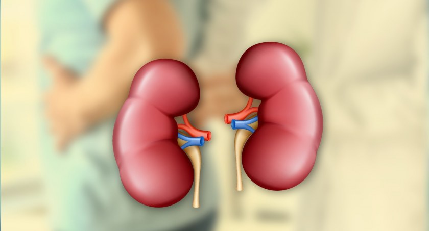 Pacjenci z Anemią nerkopochodną będą leczeni zgodnie z międzynarodowymi standardami