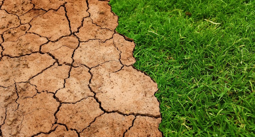 Zmiany klimatu bardziej szkodzą astmatykom