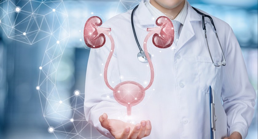 Urolog nie tylko dla mężczyzn. Kobieta po czterdziestce przynajmniej raz w roku powinna się zgłosić do urologa