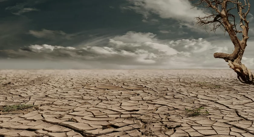 Zmiany klimatu mogą zaostrzać przebieg chorób mózgu