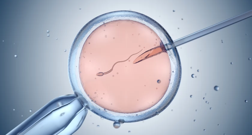 Znamy realizatorów programu leczenia niepłodności metodą in vitro. Lista podmiotów