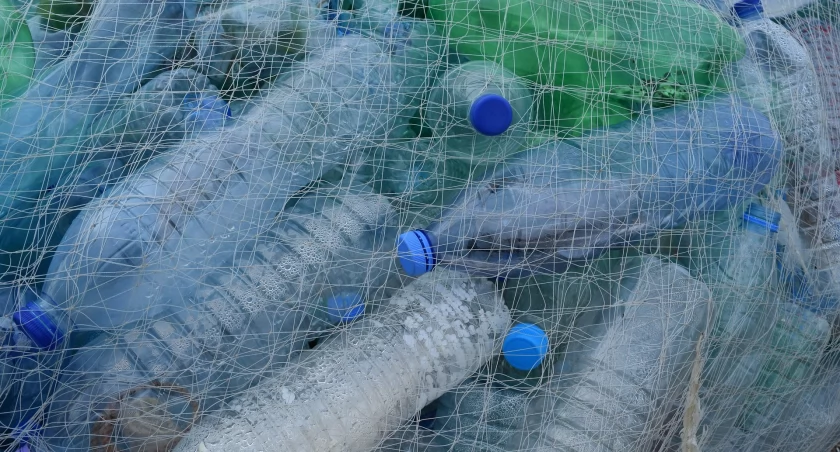 Owady uratują nas przed zwałami plastiku?