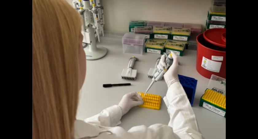 DNA Medical Group planuje debiut na warszawskiej giełdzie